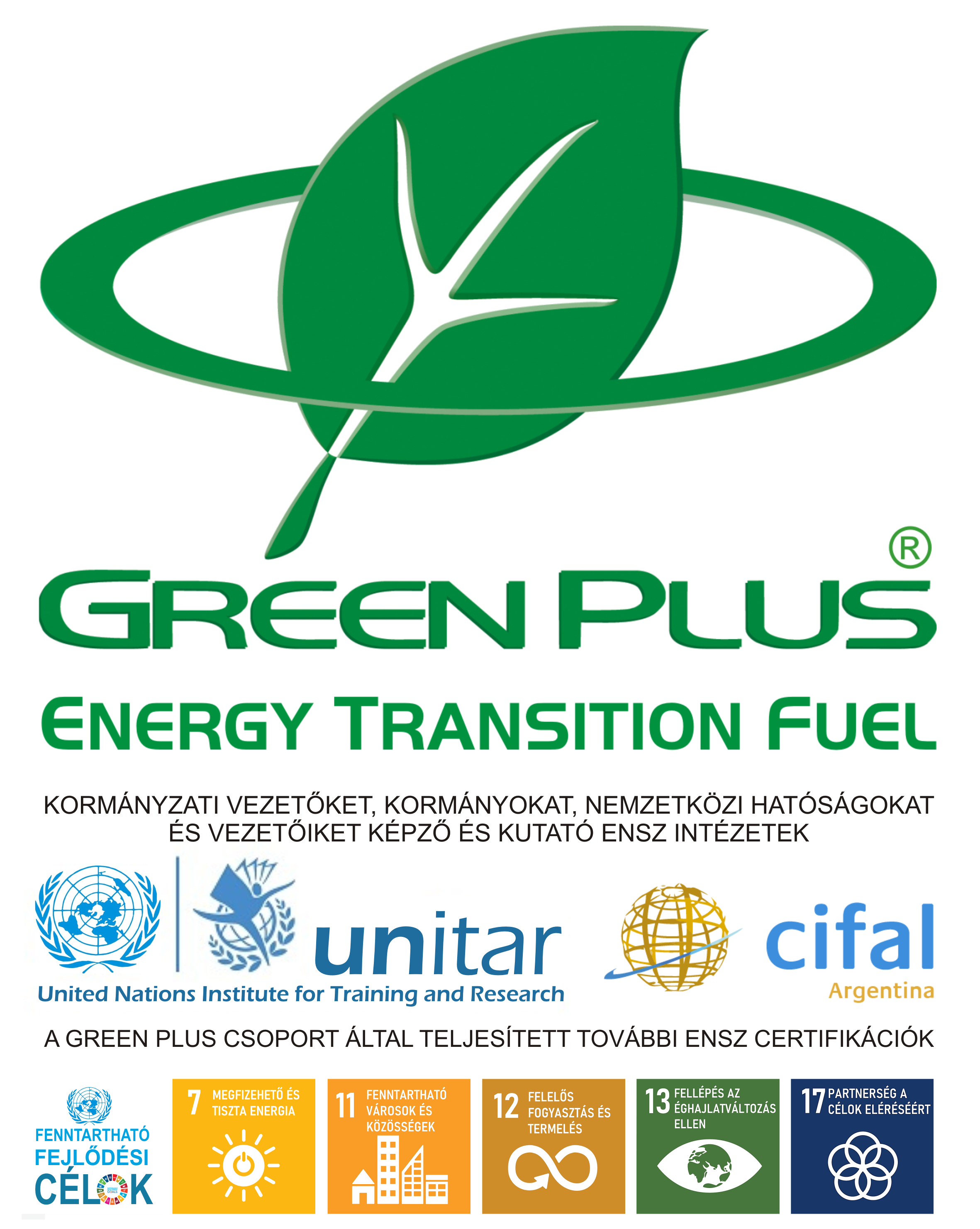 ENSZ Energia Átmeneti Üzemanyag Öko Címke